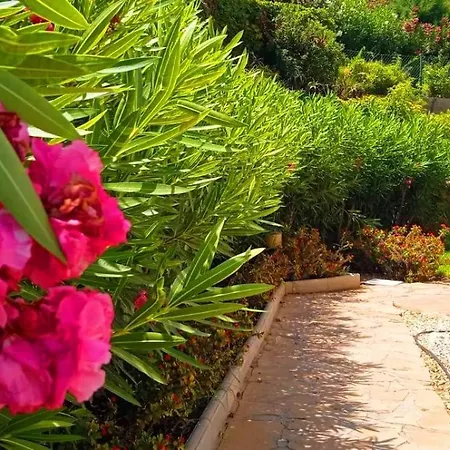 Dicaprio - Sunset Ritual Incl I By Moviestar Holidays * Mijas