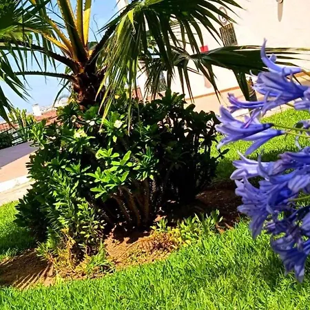 Dicaprio - Sunset Ritual Incl I By Moviestar Holidays Mijas