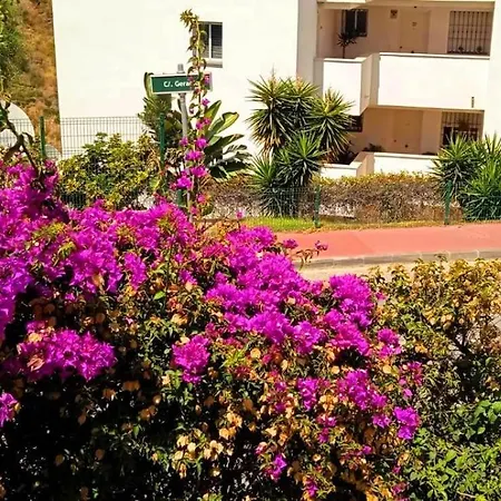 Lejlighed Dicaprio - Sunset Ritual Incl I By Moviestar Holidays Mijas